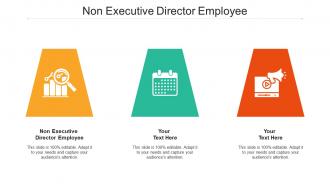 Non executive director employee ppt powerpoint presentation ideas visual aids cpb