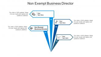 Non exempt business director ppt powerpoint presentation slides model cpb