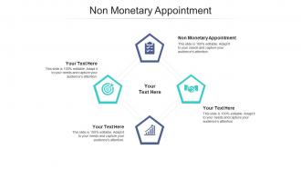 Non monetary appointment ppt powerpoint presentation gallery slides cpb