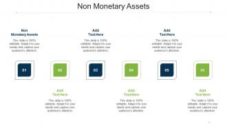 Non Monetary Assets Ppt Powerpoint Presentation Infographic Template Elements Cpb