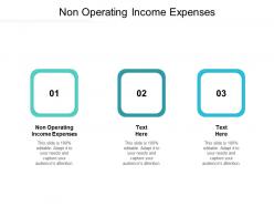 Non operating income expenses ppt powerpoint presentation outline visuals cpb