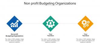 Non profit budgeting organizations ppt powerpoint presentation infographics background cpb