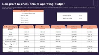 Non Profit Business Annual Operating Budget