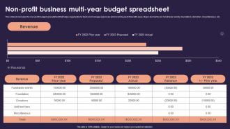 Non Profit Business Multi Year Budget Spreadsheet