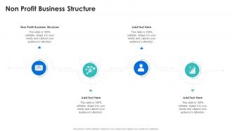 Non Profit Business Structure In Powerpoint And Google Slides Cpb