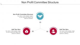 Non Profit Committee Structure In Powerpoint And Google Slides Cpb