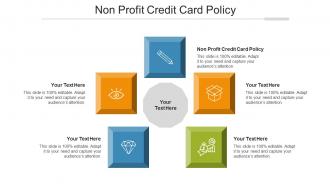Non Profit Credit Card Policy Ppt Powerpoint Presentation Professional Ideas Cpb