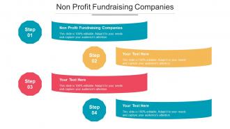 Non Profit Fundraising Companies Ppt Powerpoint Presentation Professional Portrait Cpb