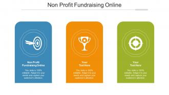 Non Profit Fundraising Online Ppt Powerpoint Presentation Pictures Graphic Tips Cpb