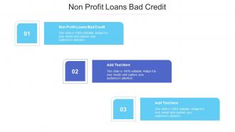 Non Profit Loans Bad Credit Ppt Powerpoint Presentation Infographic Cpb