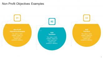 Non Profit Objectives Examples In Powerpoint And Google Slides Cpb