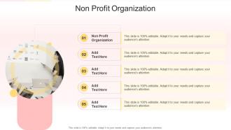 Non Profit Organization In Powerpoint And Google Slides Cpb
