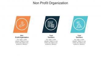 Non profit organization ppt powerpoint presentation infographics topics cpb