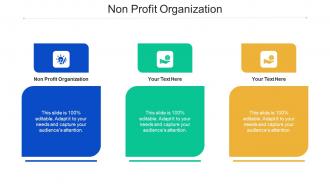 Non Profit Organization Ppt Powerpoint Presentation Pictures Ideas Cpb