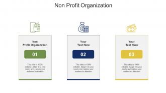 Non profit organization ppt powerpoint presentation portfolio background cpb