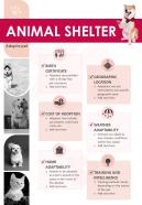 Non Profit Organizations For Animal Shelter
