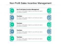 Non profit sales incentive management ppt powerpoint template slides cpb