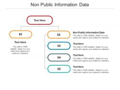 Non public information data ppt powerpoint presentation inspiration brochure cpb