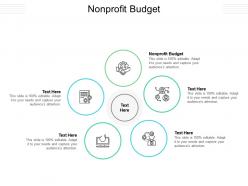 Nonprofit budget ppt powerpoint presentation show example file cpb