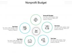 Nonprofit budget ppt powerpoint presentation show example file cpb