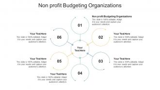 Nonprofit budgeting organizations ppt powerpoint presentation layouts aids cpb