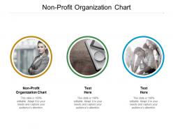 Nonprofit organization chart ppt powerpoint presentation pictures design templates cpb
