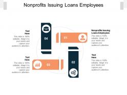 Nonprofits issuing loans employees ppt powerpoint presentation styles format ideas cpb