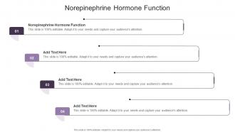 Norepinephrine Hormone Function In Powerpoint And Google Slides Cpb