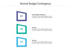 Normal budget contingency ppt powerpoint presentation ideas icons cpb