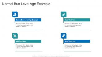 Normal Bun Level Age Example In Powerpoint And Google Slides Cpb