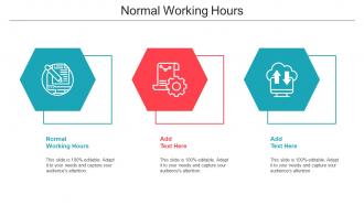Normal Working Hours Ppt Powerpoint Presentation Professional Grid Cpb