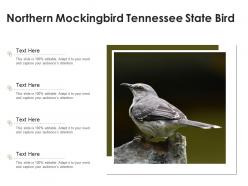 Northern mockingbird tennessee state bird