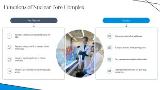 Nuclear Pore Complex Function And Role PPT Demonstration AT Template Pre-designed