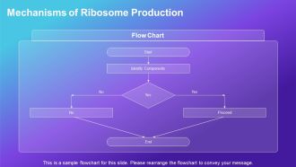 Nucleolus Function And Ribosome Production PPT Mockup AT Engaging Aesthatic