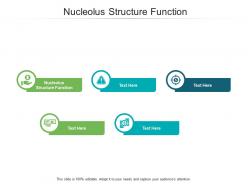 Nucleolus structure function ppt powerpoint presentation model outline cpb