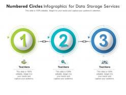 Numbered circles for data storage services infographic template