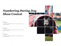 Numbering during dog show contest