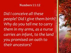 Numbers 11 12 you promised on oath to their powerpoint church sermon