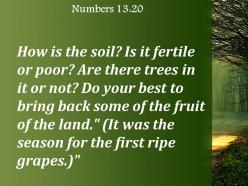 Numbers 13 20 the season for the first powerpoint church sermon
