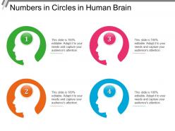 Numbers in circles in human brain