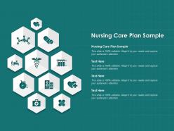 Nursing care plan sample ppt powerpoint presentation slides outline