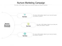 Nurture marketing campaign ppt powerpoint presentation file examples cpb
