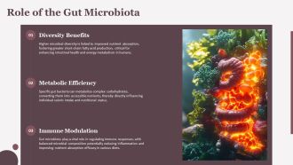 Nutrient Absorption Physiology And Strategies PPT Example AT Content Ready Image