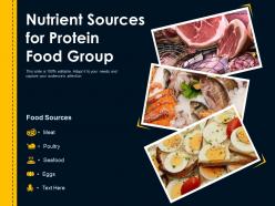 Nutrient sources for protein food group