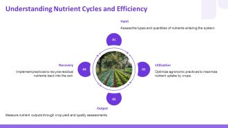 Nutrient Stewardship Enhancing Profitability PPT Template AT Appealing Aesthatic