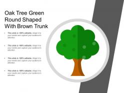 Oak tree green round shaped with brown trunk