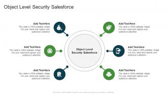 Object Level Security Salesforce In Powerpoint And Google Slides Cpb