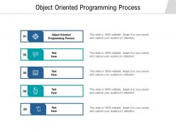 Object oriented programming process ppt powerpoint presentation ideas cpb