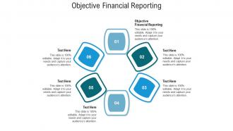 Objective financial reporting ppt powerpoint presentation outline example introduction cpb
