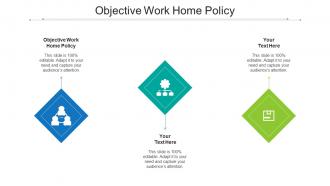 Objective Work Home Policy Ppt Powerpoint Presentation Professional Graphic Images Cpb